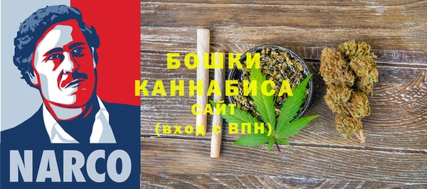 бошки Алексин