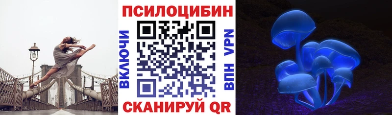Псилоцибиновые грибы Psilocybine cubensis  KRAKEN ссылка  Пошехонье  где купить  